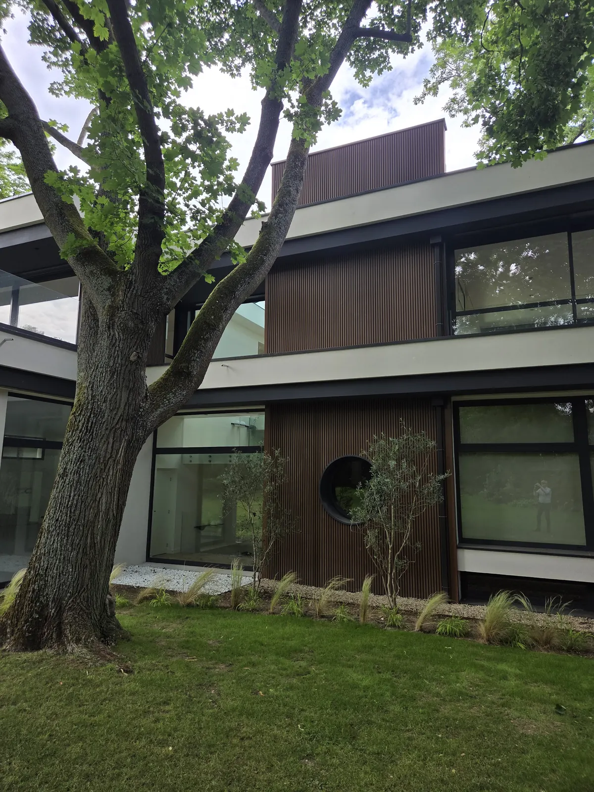Arbre à haute tige conservé devant la façade en bardage bois, maison contemporaine au Vésinet, DSA Architectes